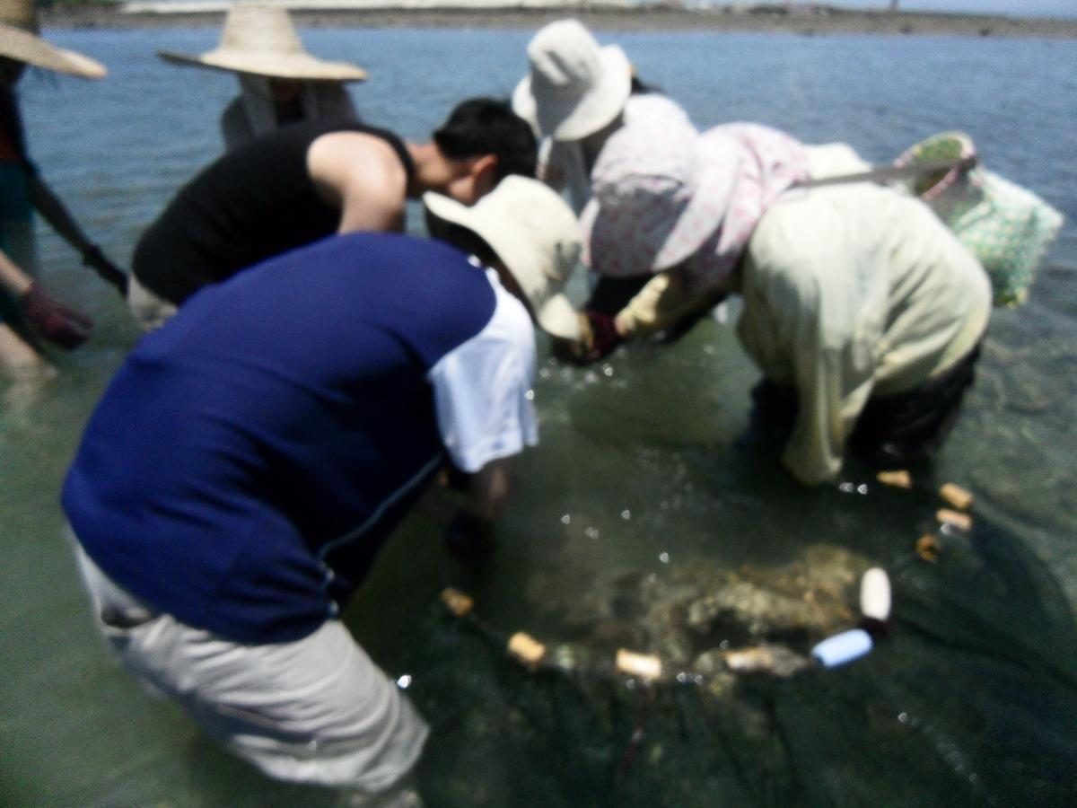 Penghu Chenhi Bay Homestay Baisha Ngoại thất bức ảnh